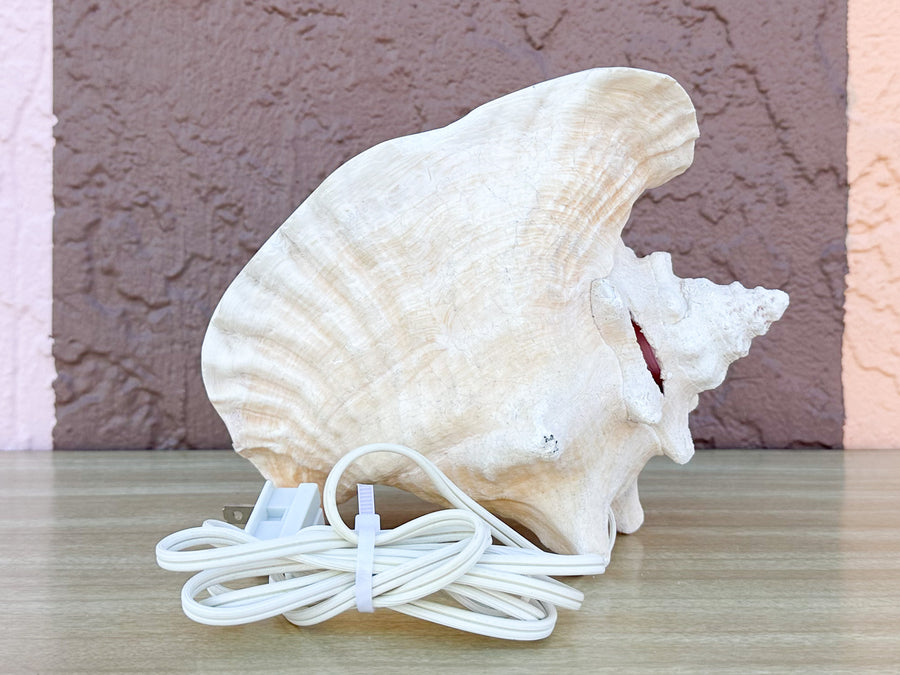 Conch Shell Lamp