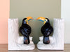 Japanese Ceramic Toucan Bookends