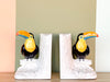 Japanese Ceramic Toucan Bookends
