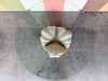 Shell Chic Plaster Coffee Table