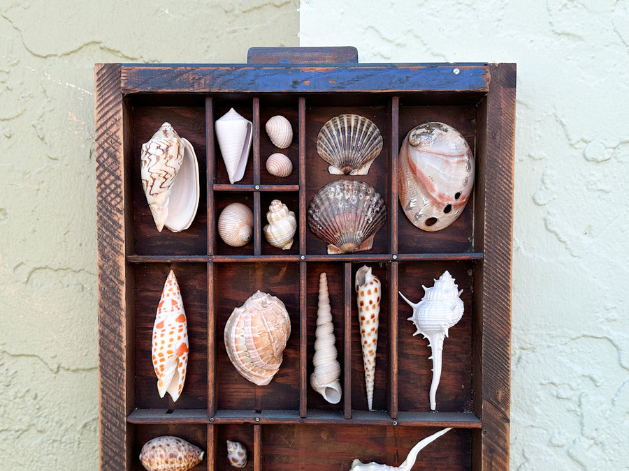Printers Tray Shell Display