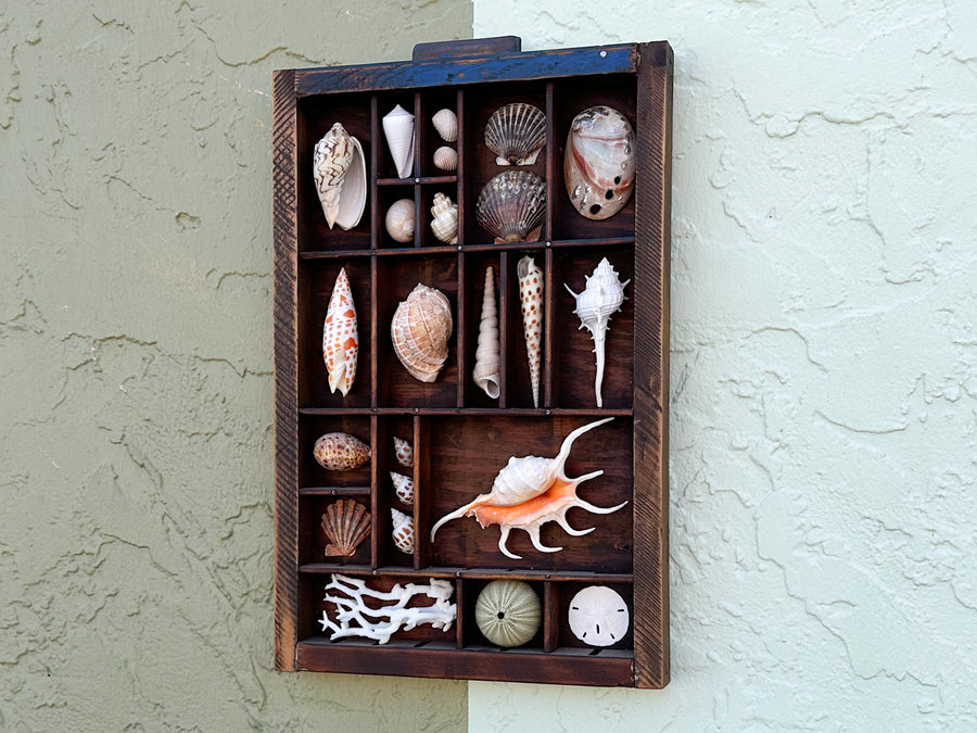 Printers Tray Shell Display