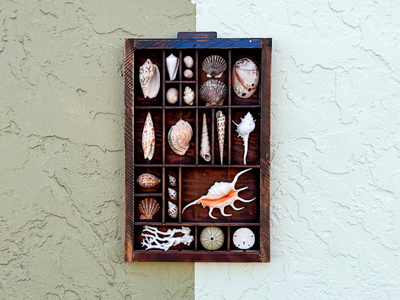 Printers Tray Shell Display