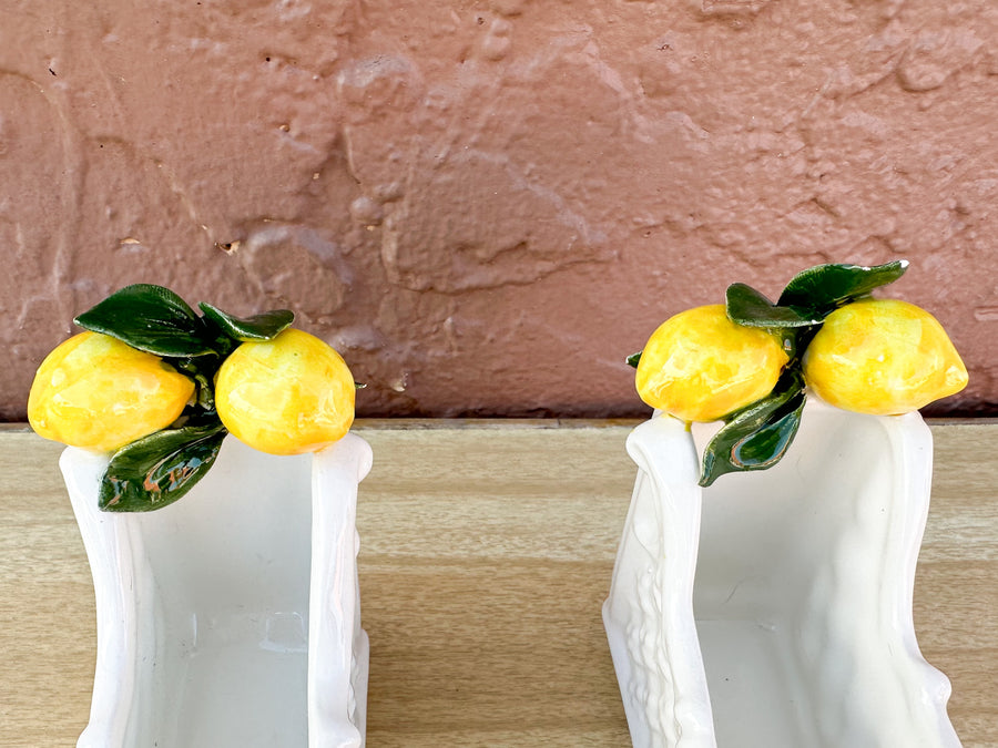 Adorable Italian Lemon Topiary Set