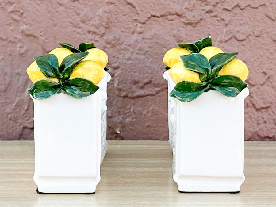 Adorable Italian Lemon Topiary Set