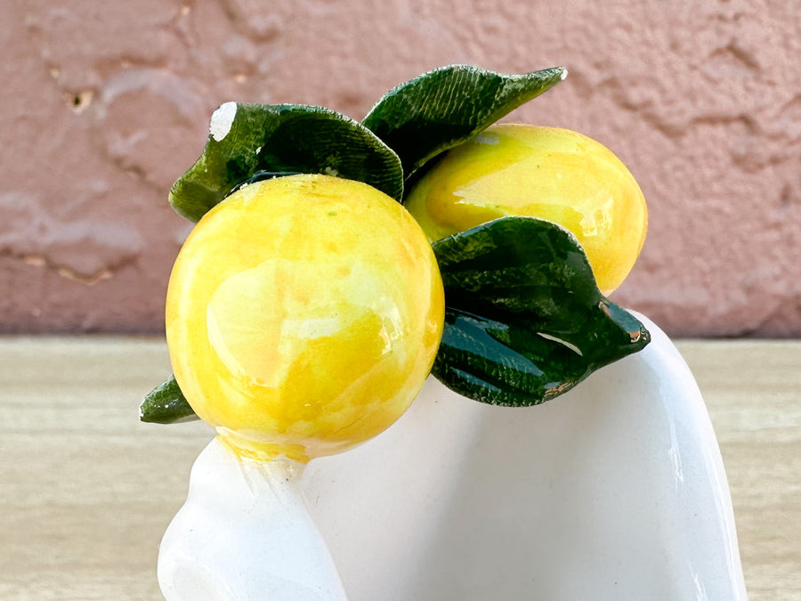 Adorable Italian Lemon Topiary Set