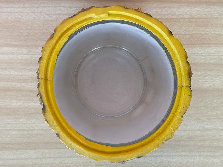 Pineapple Tiki Ice Bucket