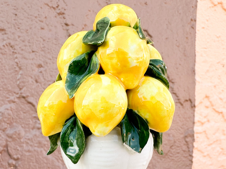 Adorable Italian Lemon Topiary Set
