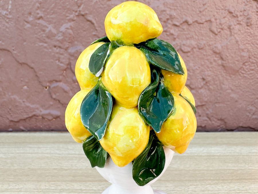 Adorable Italian Lemon Topiary Set