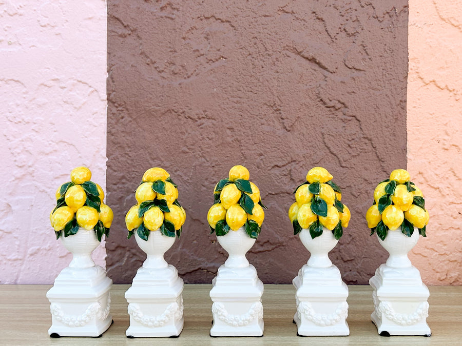Adorable Italian Lemon Topiary Set
