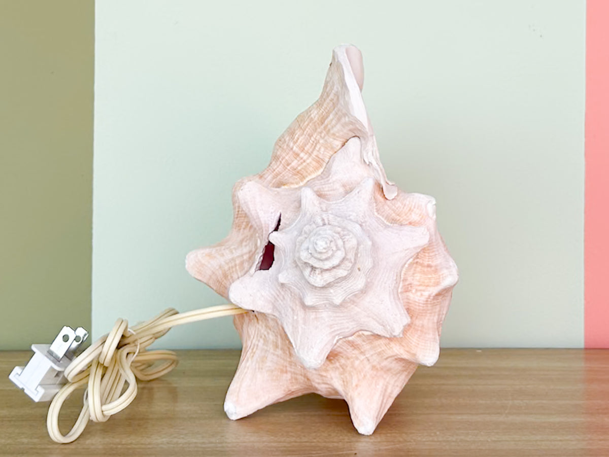 Conch Shell Lamp