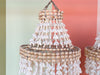 Pair of Shell Chandeliers