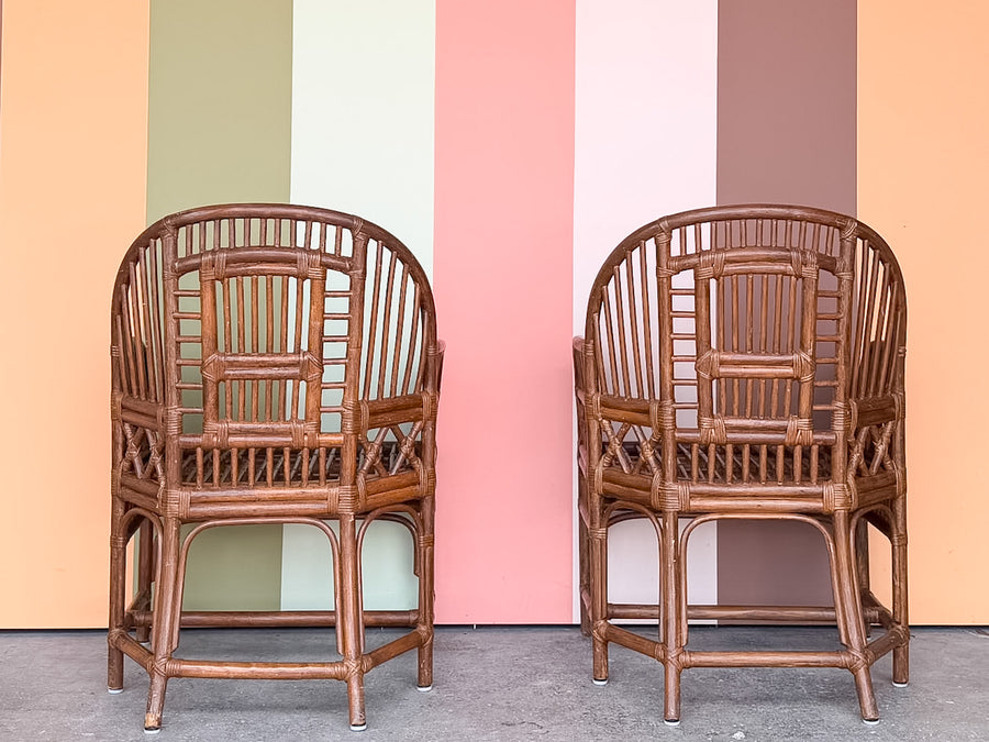 Pair of Brighton Style Rattan Dining Chairs