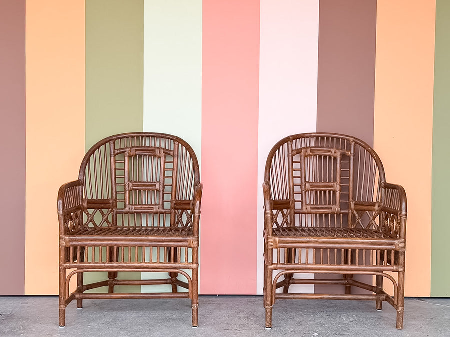 Pair of Brighton Style Rattan Dining Chairs
