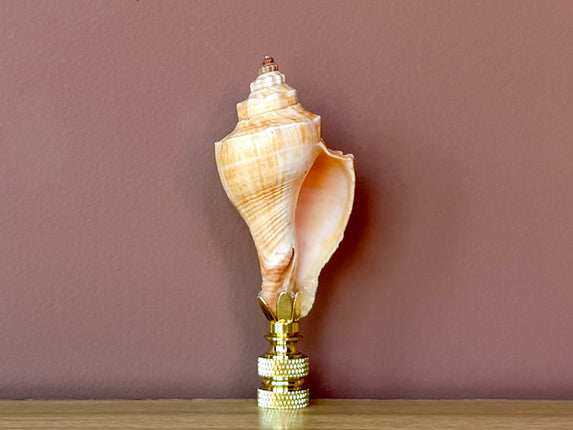 Natural Shell Finial