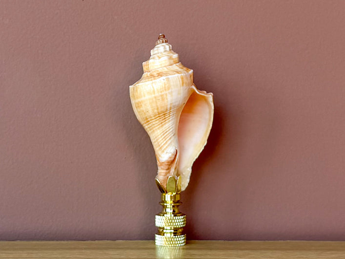 Natural Shell Finial