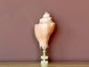 Natural Shell Finial