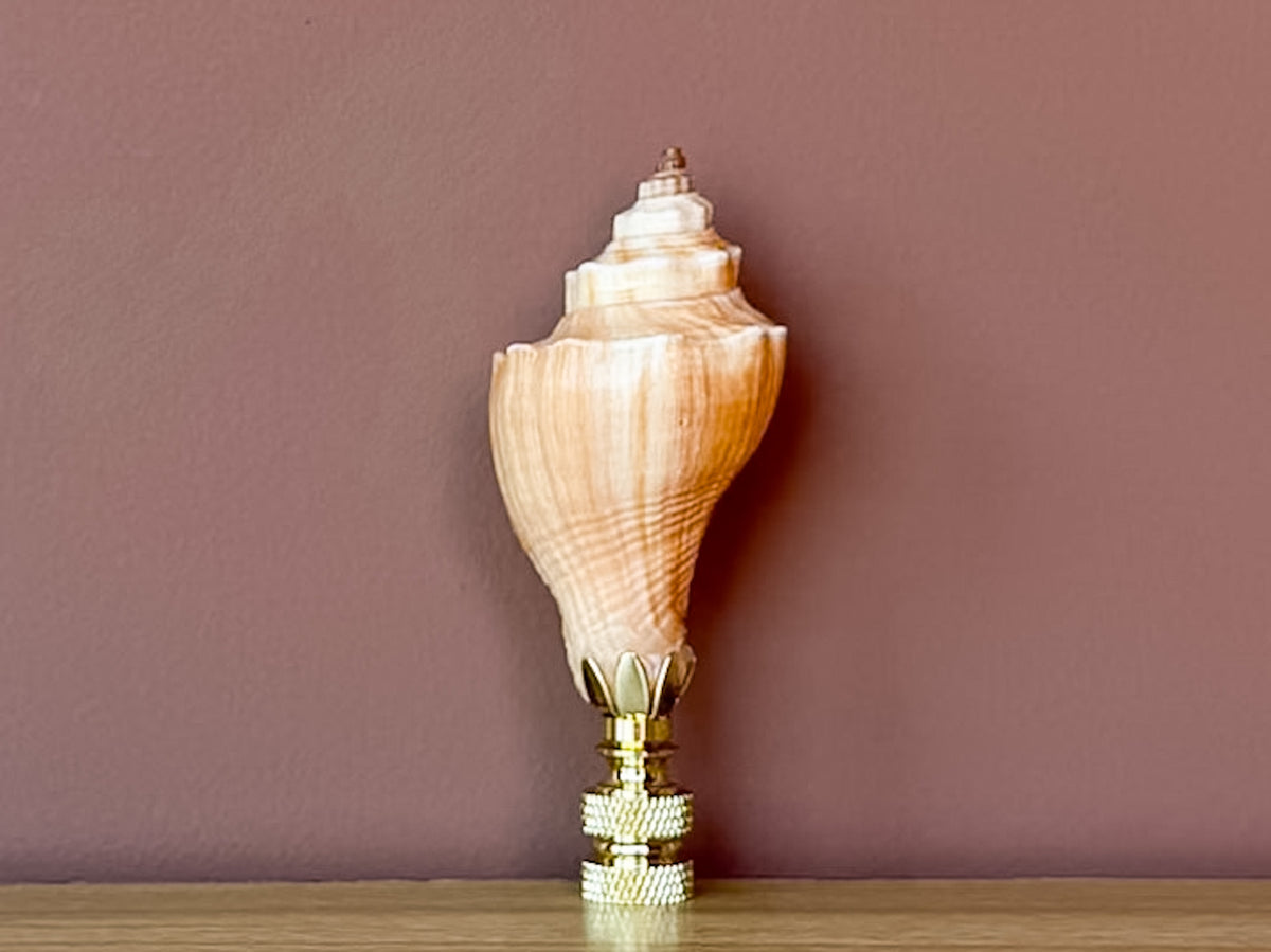 Natural Shell Finial
