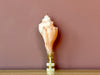 Natural Shell Finial