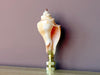 Natural Shell Finial