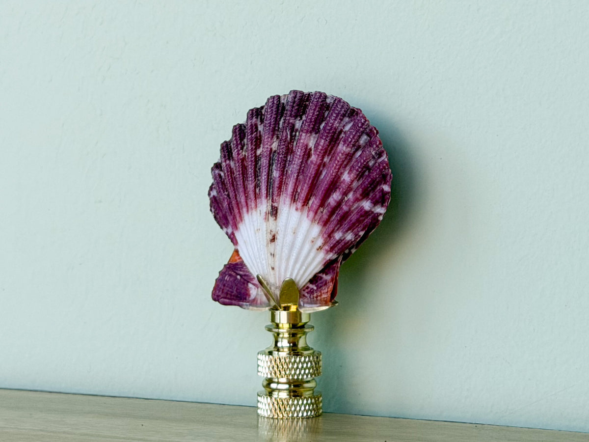 Grape Scallop Shell Finial