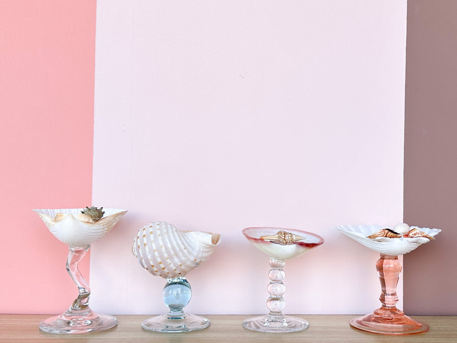 Set of Four Colorful Shell Coupes
