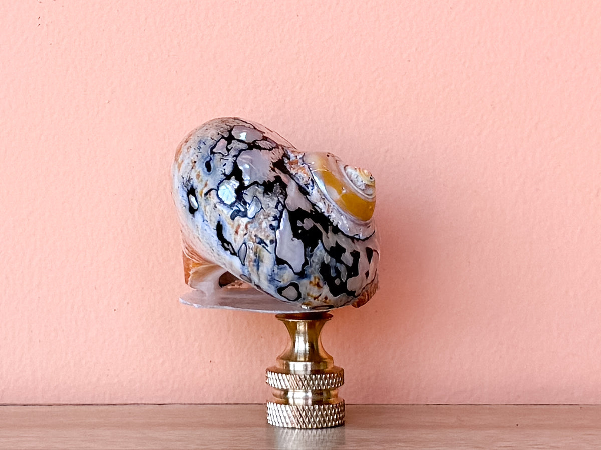 Brown and Gold Jumbo Turbo Shell Finial