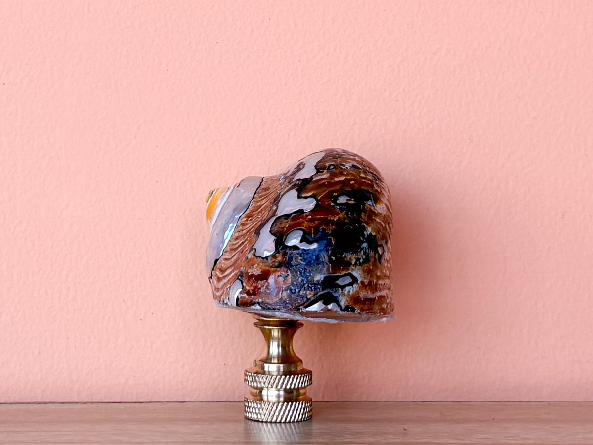 Brown and Gold Jumbo Turbo Shell Finial