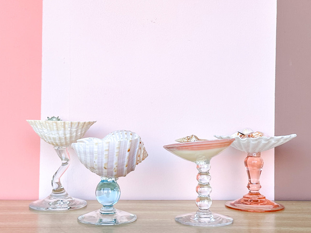 Set of Four Colorful Shell Coupes