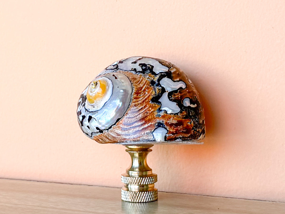 Brown and Gold Jumbo Turbo Shell Finial
