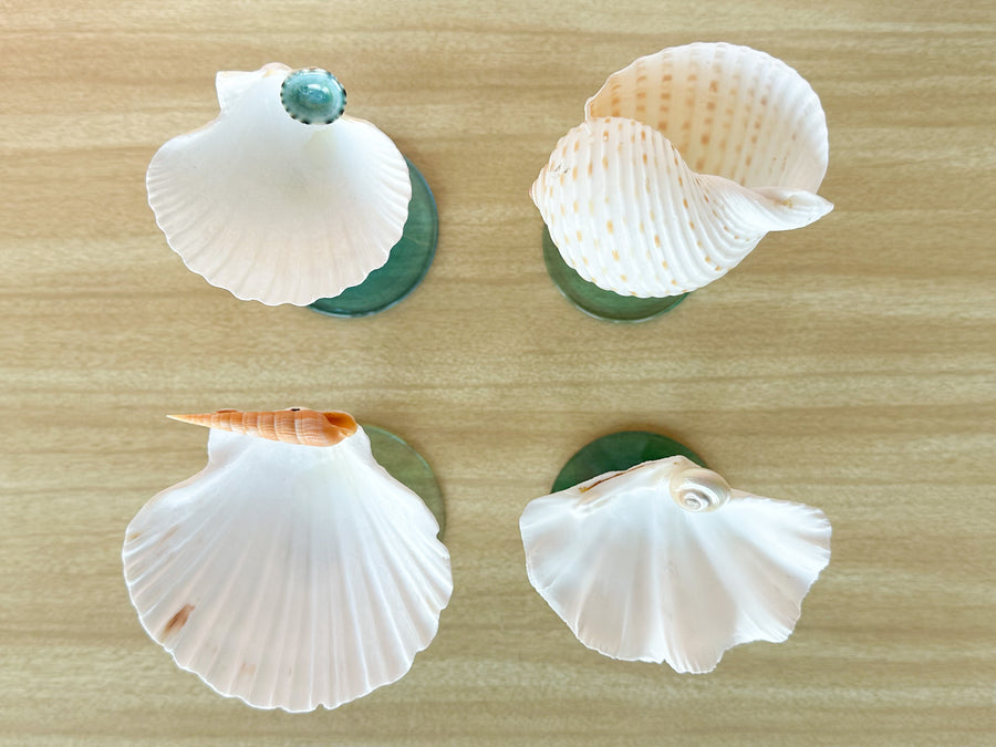 Set of Four Seafoam Shell Coupes