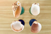 Set of Four Shell Chic Coupes in Blues