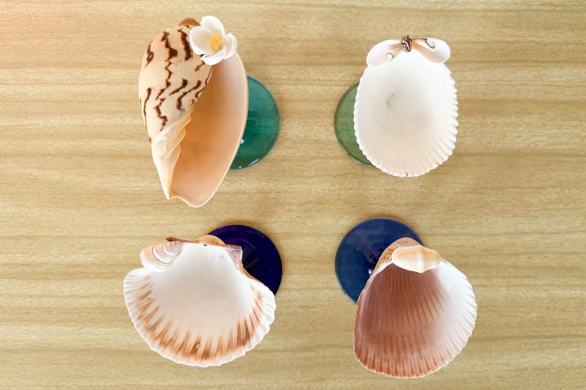 Set of Four Shell Chic Coupes in Blues