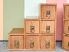 Pair of Custom Drawers with Brass Lion Pulls