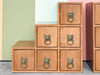 Pair of Custom Drawers with Brass Lion Pulls