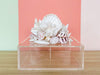 "Choose Your Own Adventure" Shell Art Workshop at Palm Beach Regency