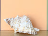 Kips Bay Show House Lampas Frog Shell