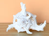 Kips Bay Show House Large Murex Shell