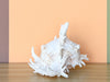 Kips Bay Show House Large Murex Shell