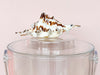 Spider Shell Lucite Ice Bucket