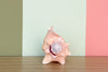 Pink Conch Natural Shell
