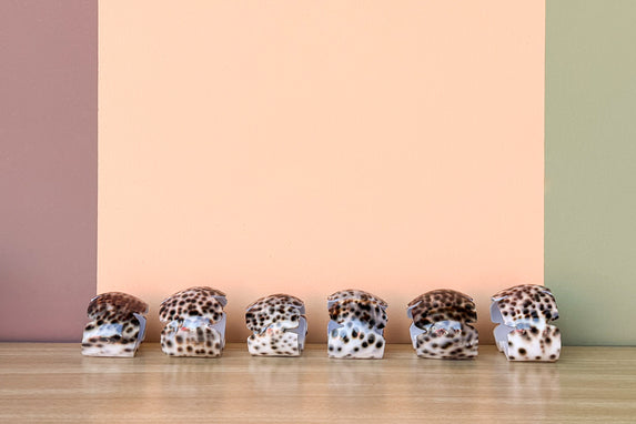Set of Six Scallop Cowrie Napkin Rings