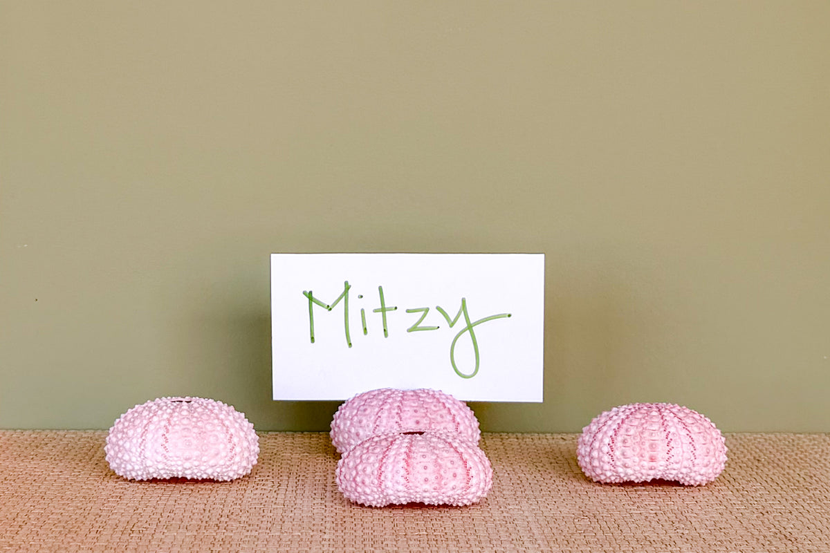 Set of Four Pink Natural Sea Urchin Placecard Holders