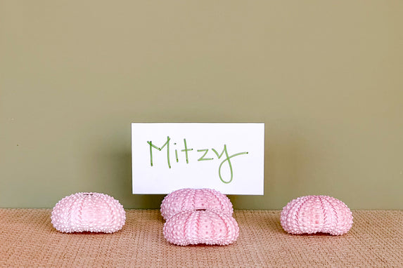 Set of Four Pink Natural Sea Urchin Placecard Holders