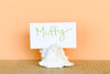 Set of Six Natural Shell Placecard Holders