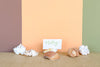 Set of Six Natural Shell Placecard Holders