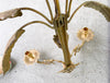 Pair of Brass Palm Tree Wall Sconces