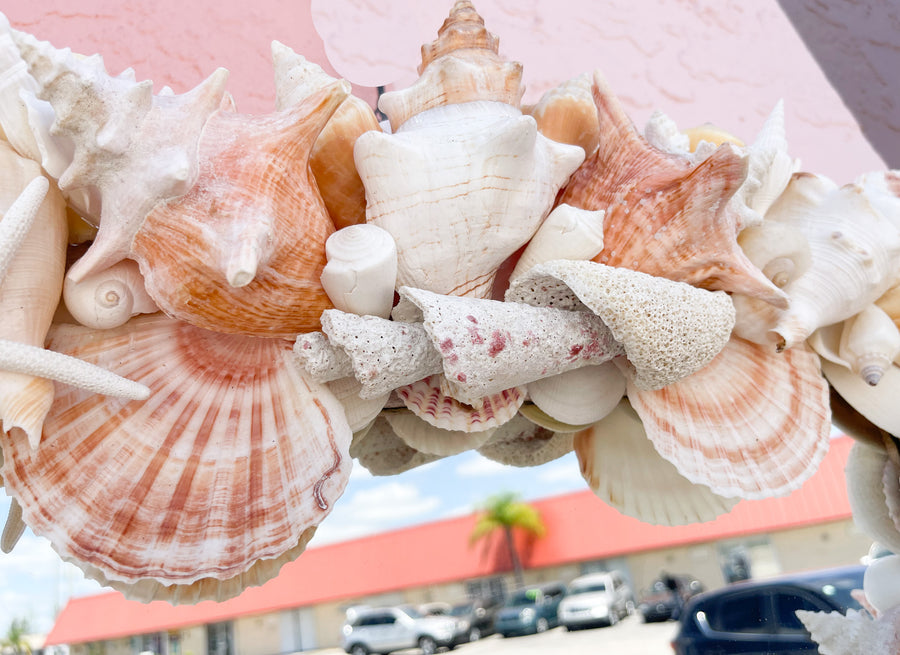 Bahamian Cat Key Shell Mirror