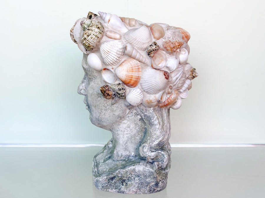 Shellegance Bust Cachepot