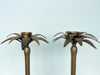 Pair of Large Brass Palm Candlesticks